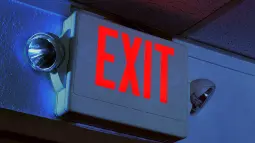 Rectangle 238
